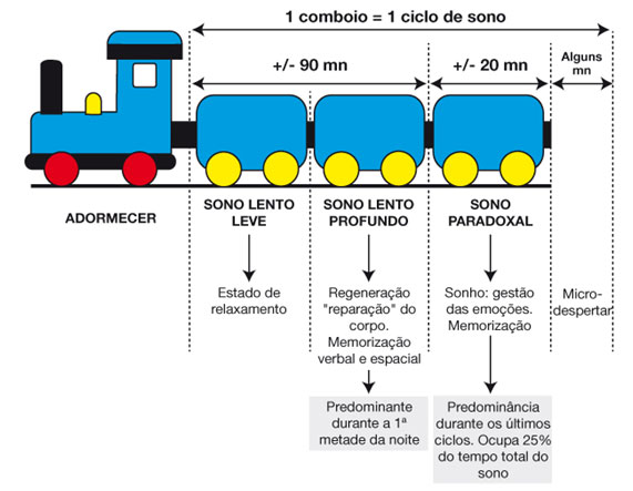 ilustração2