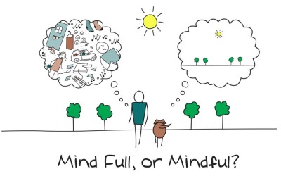 Quer saber o que é Mindfulness ou Atenção Plena?